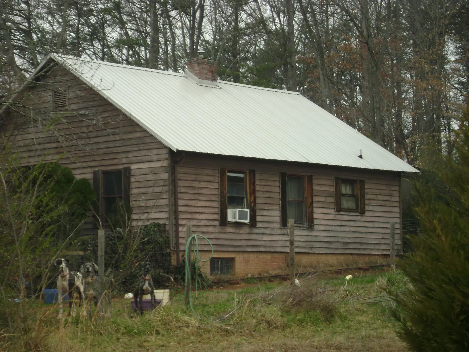 White metal roof on an old wood sided farmhouse, from a Asphalt Shingle Roof Repair job in Kamiah